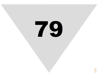 79 mm
